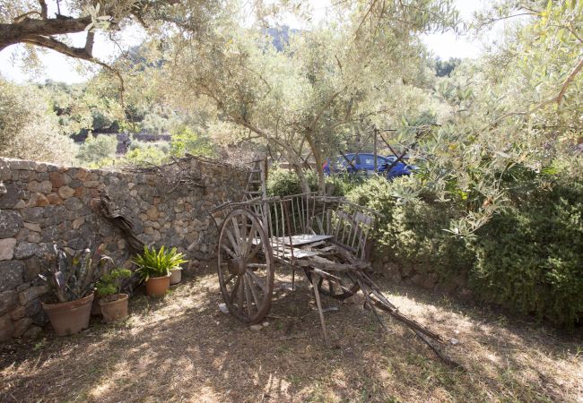 Villa in Sóller - VILLA ES COCO SOLLER
