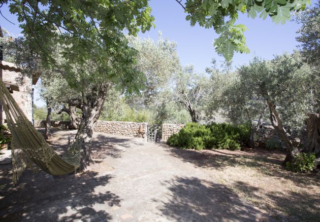 Villa in Sóller - VILLA ES COCO SOLLER