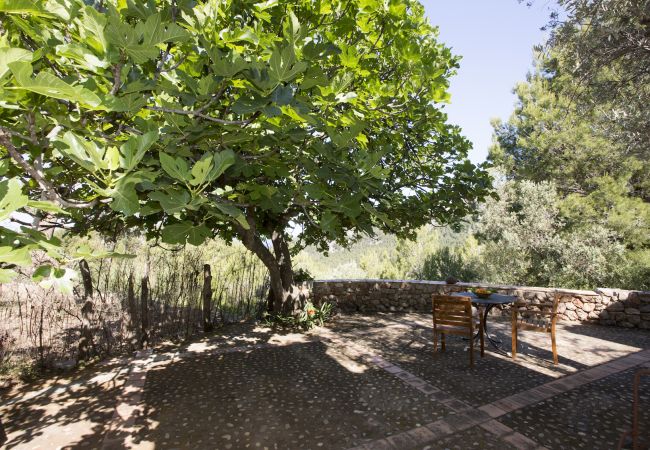 Villa in Sóller - VILLA ES COCO SOLLER