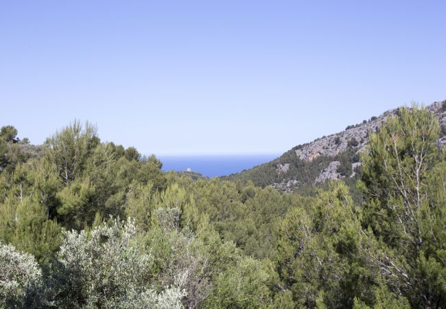Villa in Sóller - VILLA ES COCO SOLLER