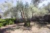 Villa in Sóller - VILLA ES COCO SOLLER