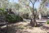 Villa in Sóller - VILLA ES COCO SOLLER