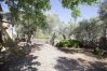 Villa in Sóller - VILLA ES COCO SOLLER
