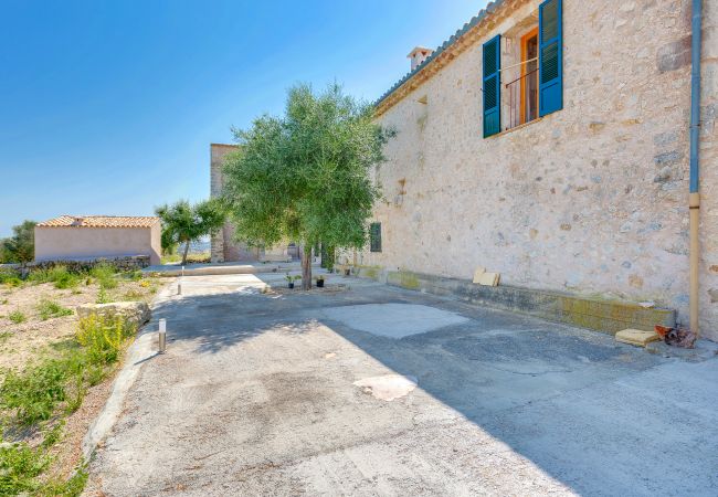 Villa in Vilafranca de Bonany - VILLA VILAFRANCA