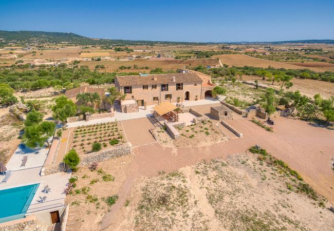 Villa in Vilafranca de Bonany - VILLA VILAFRANCA
