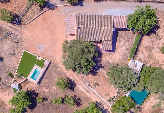 Villa in Calvià - VILLA CALVIA by Priority Villas