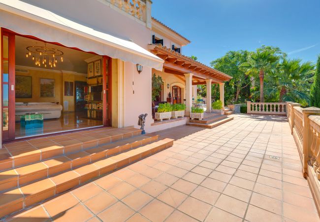 Terrace and balcony with views of the island. Terrace and balcony with views of the island.
