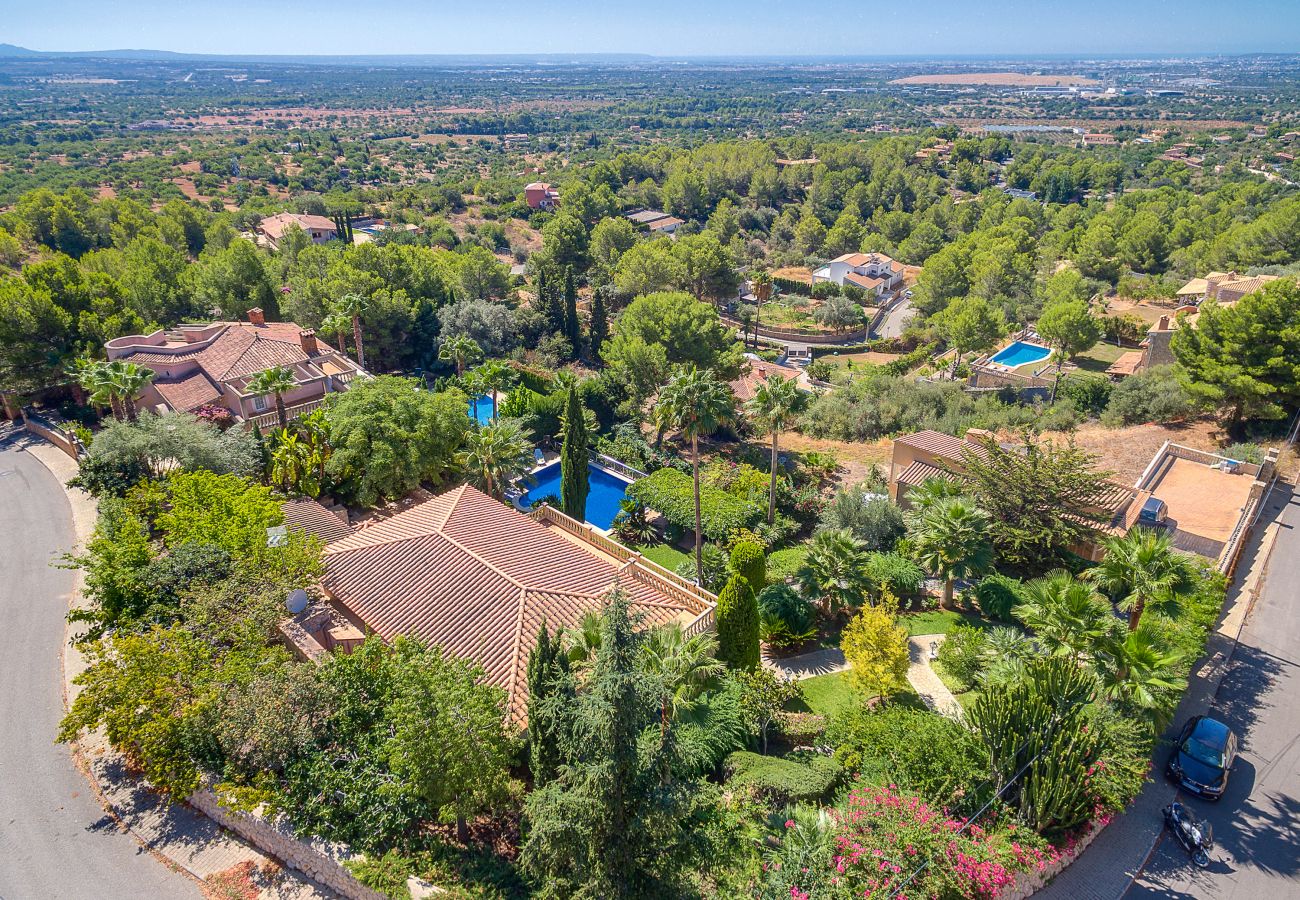 Aerial view of the villa. Aerial view of the villa.