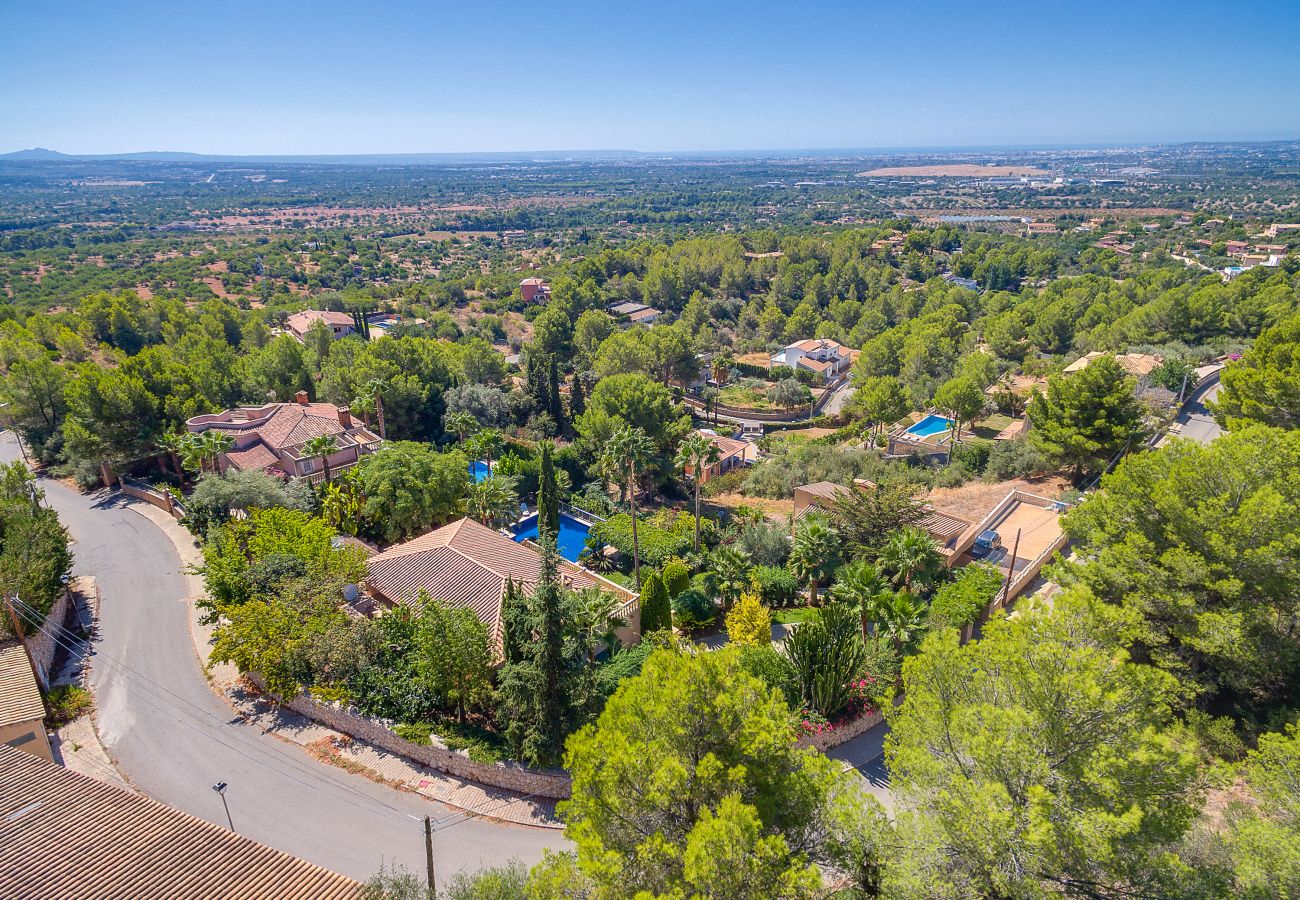 Aerial view of the villa. Aerial view of the villa.
