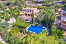 Green garden with flowers and pool