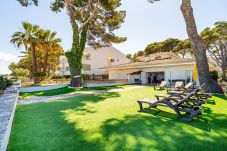 Villa in Alcudia - VILLA GARBALLO ALCUDIA - SEA FRONT
