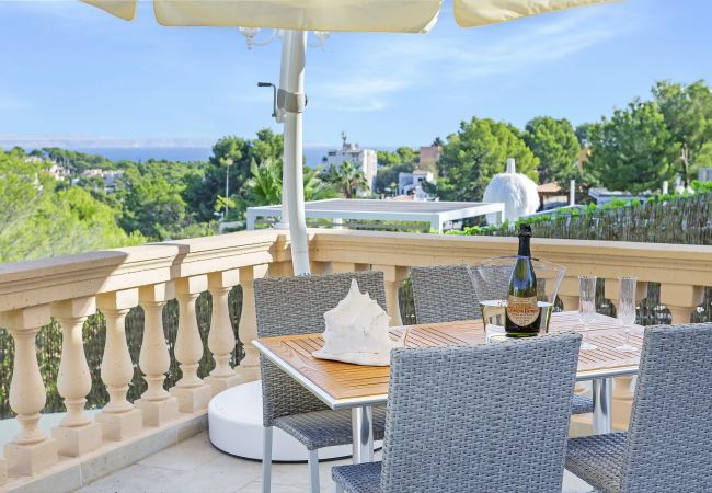 Terrace villa holiday rentals Portals Nous Mallorca