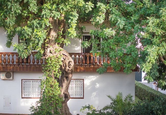 Villa in Calafell - R1 - CASA CON PISCINA, PISTA DE TENIS, JARDIN, BAS