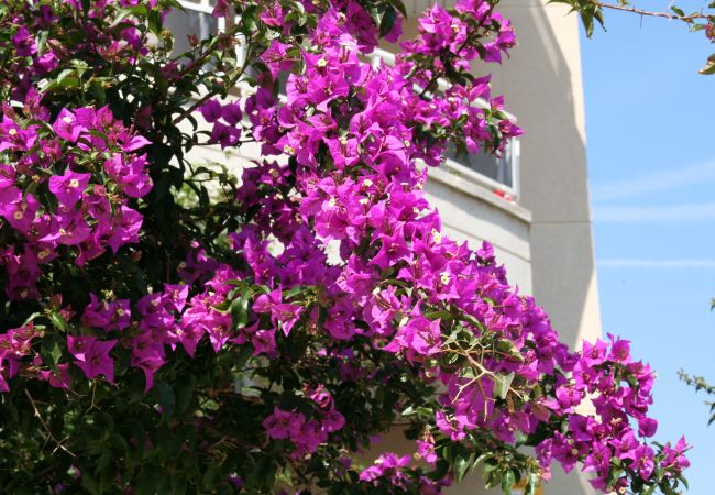Townhouse in Calafell - R142 C5 MANILA RESORT CENTRALES