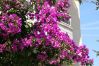 Townhouse in Calafell - R142 C5 MANILA RESORT CENTRALES