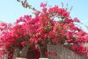 Townhouse in Calafell - R140 - A1 - MANILA RESORT JARDIN
