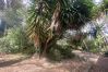 Villa in El Catllar - TH130-Villa Green Fee