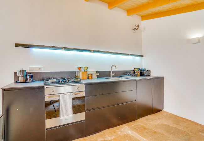 Villa in Ses Salines - SES SALINES TERRACE HOME 1