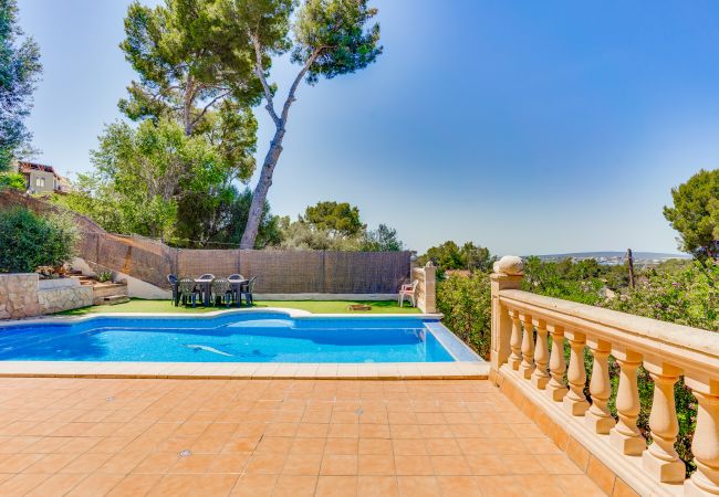 Villa in Portals Nous - VILLA PORTALS NOUS 2 ETV/3614 Villa in Portals Nous - VILLA PORTALS NOUS 2 ETV/3614