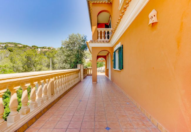 Villa in Portals Nous - VILLA PORTALS NOUS 2 ETV/3614 Villa in Portals Nous - VILLA PORTALS NOUS 2 ETV/3614