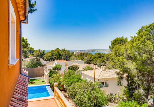 Villa in Portals Nous - VILLA PORTALS NOUS 2 ETV/3614 Villa in Portals Nous - VILLA PORTALS NOUS 2 ETV/3614