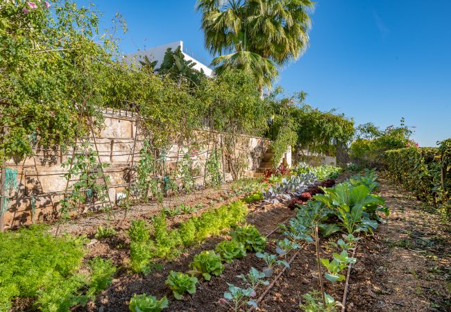 Villa in Bendinat  - VILLA BENDINAT 10 - by Priority Villas Villa in Bendinat  - VILLA BENDINAT 10 - by Priority Villas