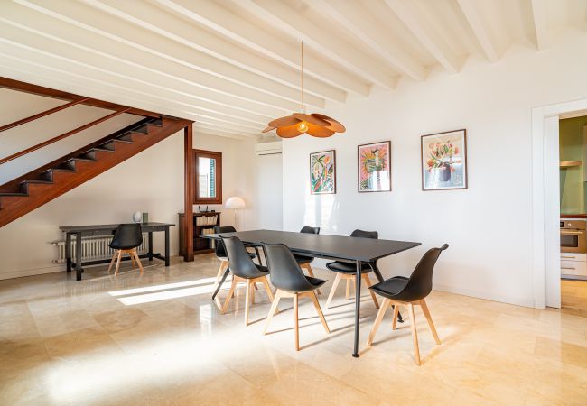 Apartment in Palma de Mallorca - CASA LEA - TERRER 6 Apartment in Palma de Mallorca - CASA LEA - TERRER 6