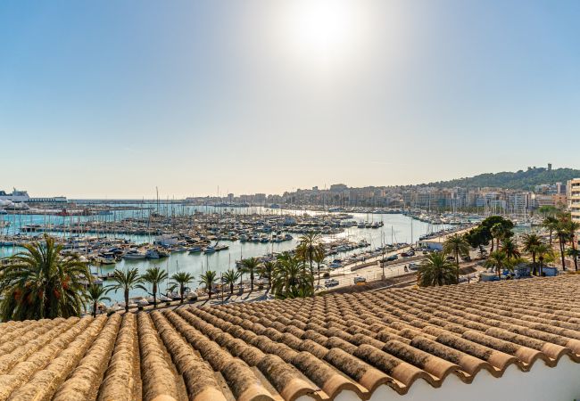 Apartment in Palma de Mallorca - CASA LEA - TERRER 6 Apartment in Palma de Mallorca - CASA LEA - TERRER 6