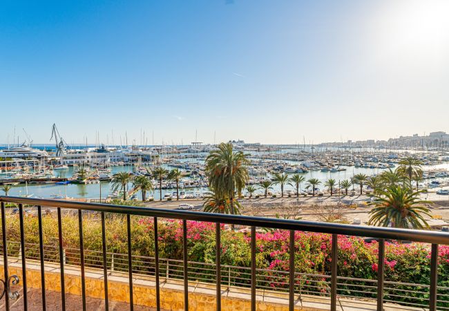 Apartment in Palma de Mallorca - CASA LEA - TERRER 6 Apartment in Palma de Mallorca - CASA LEA - TERRER 6