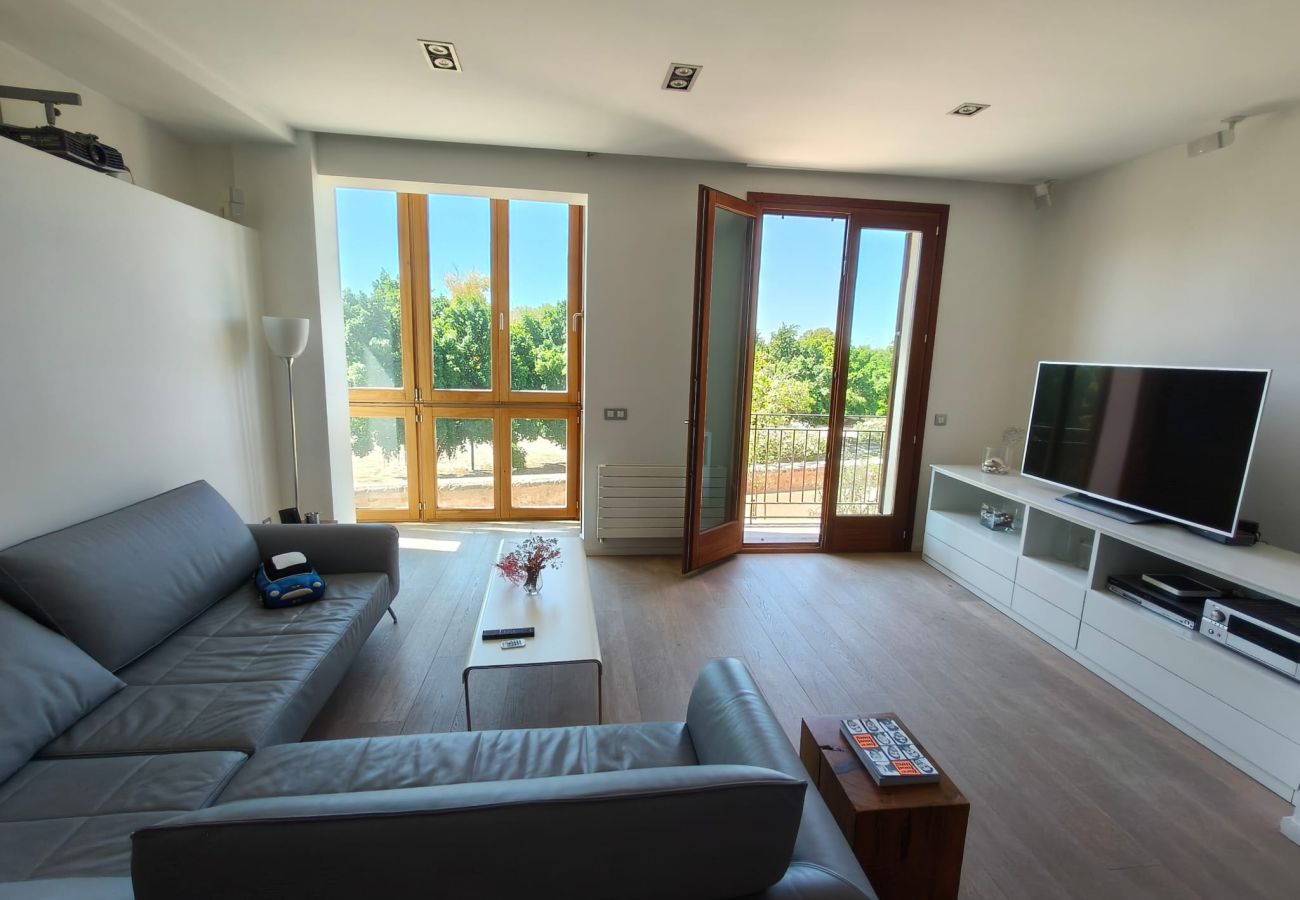 Apartment in Palma de Mallorca - DALT MURADA APARTMENT minimum stay 31 nights